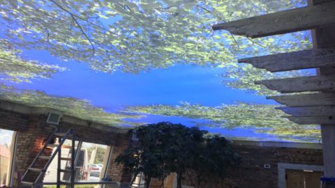 apartments, Stretch ceilings with starry sky effect,