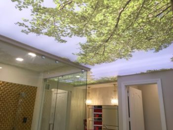 Ceiling systems with custom finishes, Popcorn ceiling